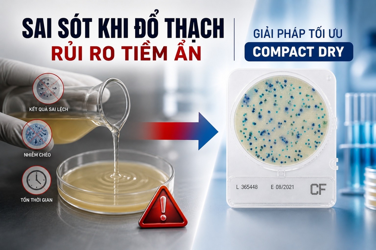 Sai sót khi đổ thạch Rủi ro tiềm ẩn mà nhiều phòng lab bỏ qua