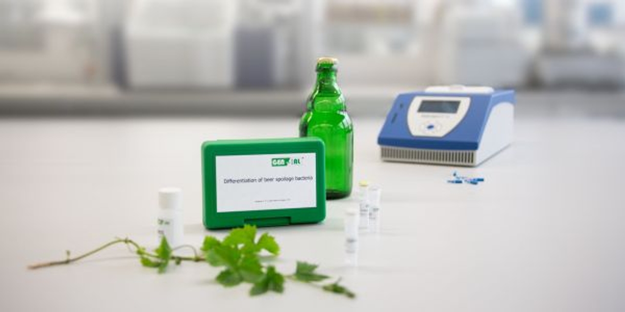 GEN-IAL® First-Yeast PCR Kit Untergärige Hefen (UG) / bottom-fermented yeast