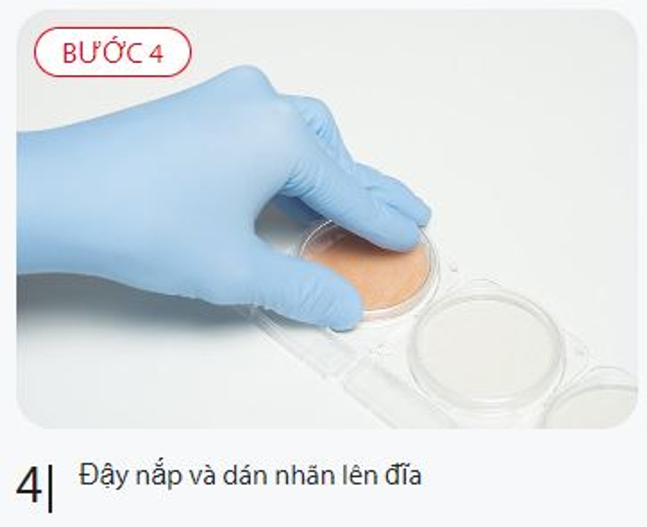 đậy nắp đĩa compact dry