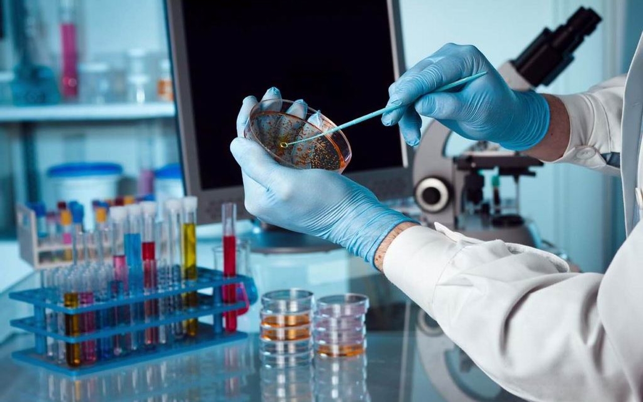 Phương pháp xác định Staphylococcus aureus trong thực phẩm