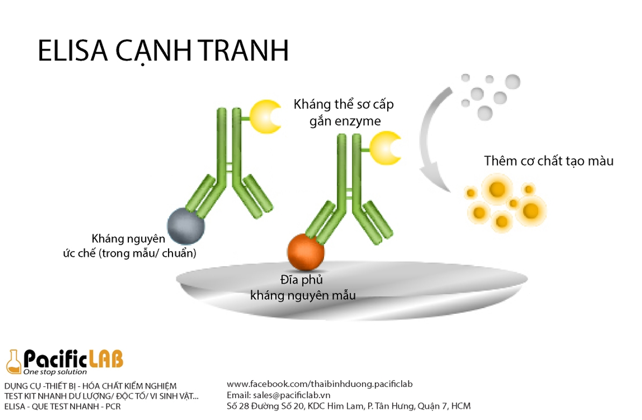 ky thuat elisa canh tranh 01