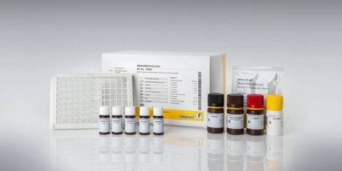 Kit Elisa kiểm tra độc tố DON