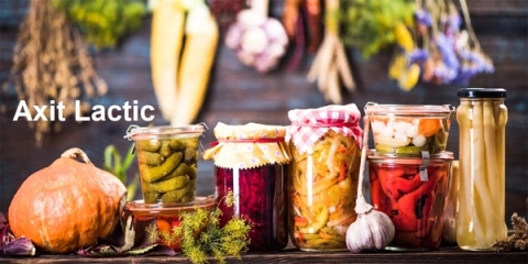 Axit Lactic có trong thực phẩm nào