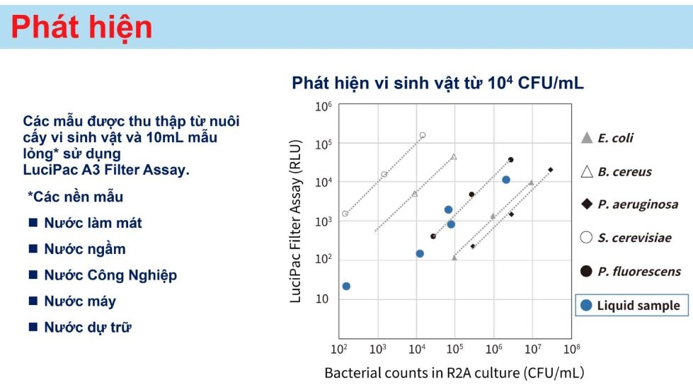 Phát hiện lucipac a3 filter assay