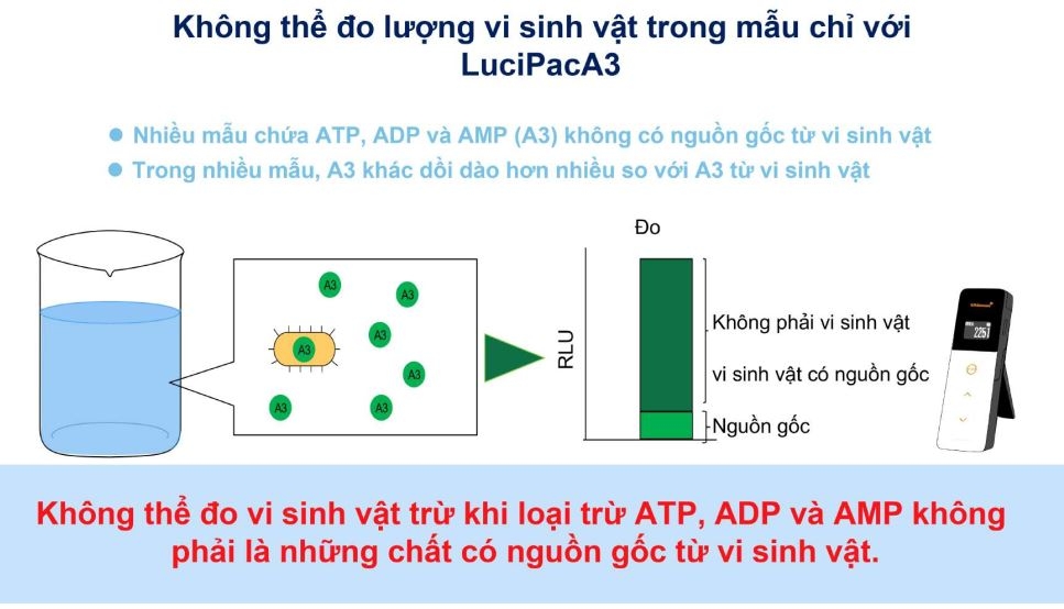 Phòng ngừa khi sử dụng Lucipac A3 Filter Assay