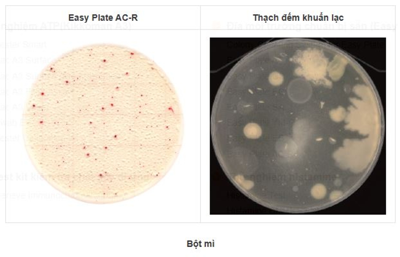 Khuẩn lạc trên đĩa Easy Plate AC-R