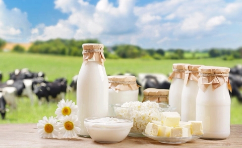 Vi khuẩn Listeria trong thực phẩm