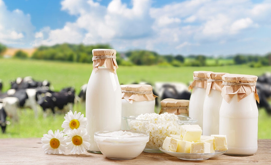 Vi khuẩn Listeria trong thực phẩm