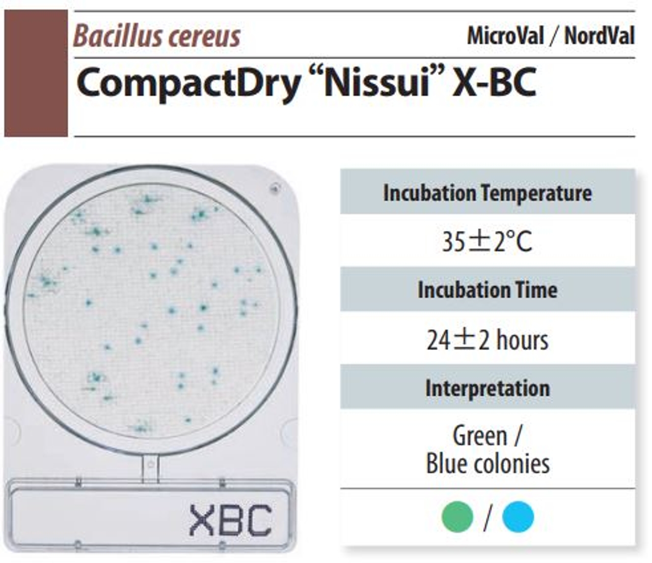 Đĩa Compact Dry BC Bacillus cereus
