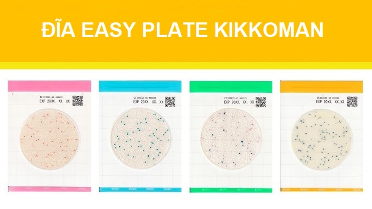 Đĩa Easy Plate Kikkoman