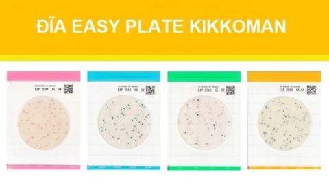 Đĩa Easy Plate Kikkoman