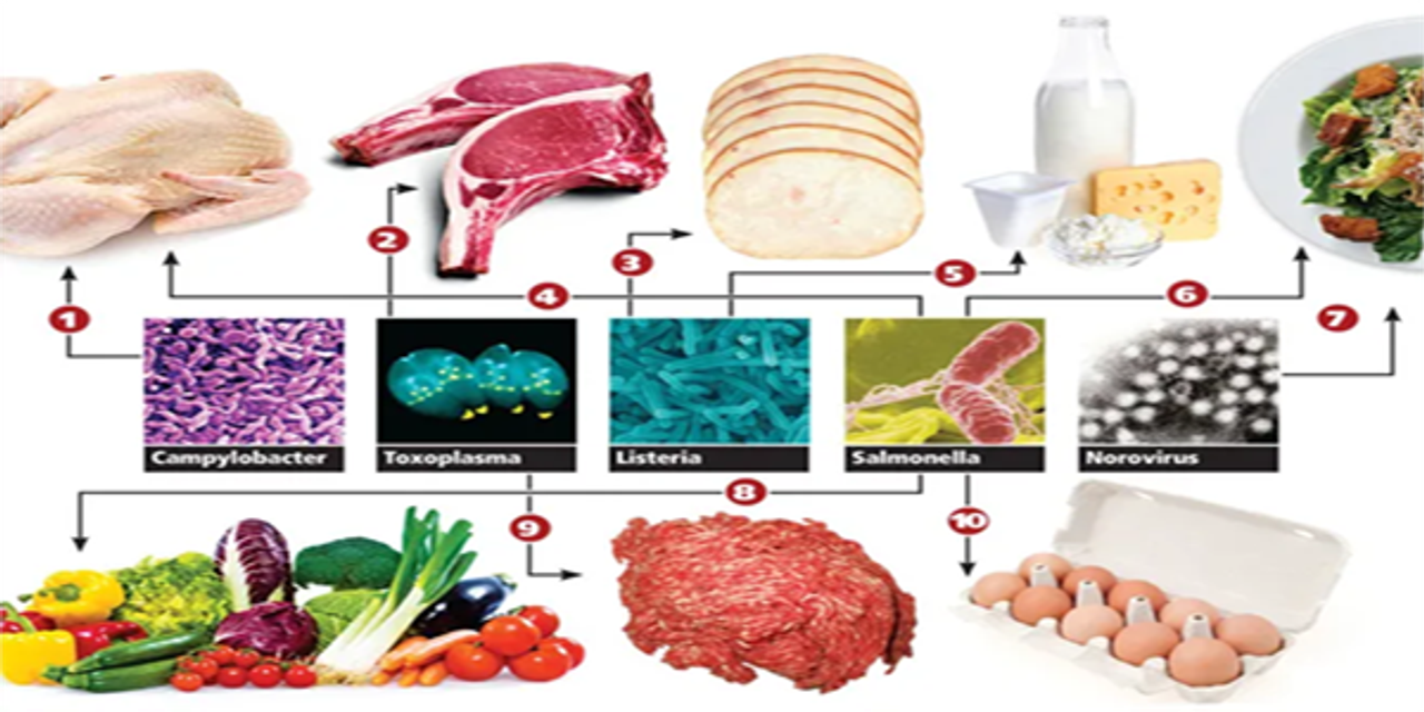 Kiểm nghiệm vi sinh vật trong thực phẩm bằng phương pháp PCR