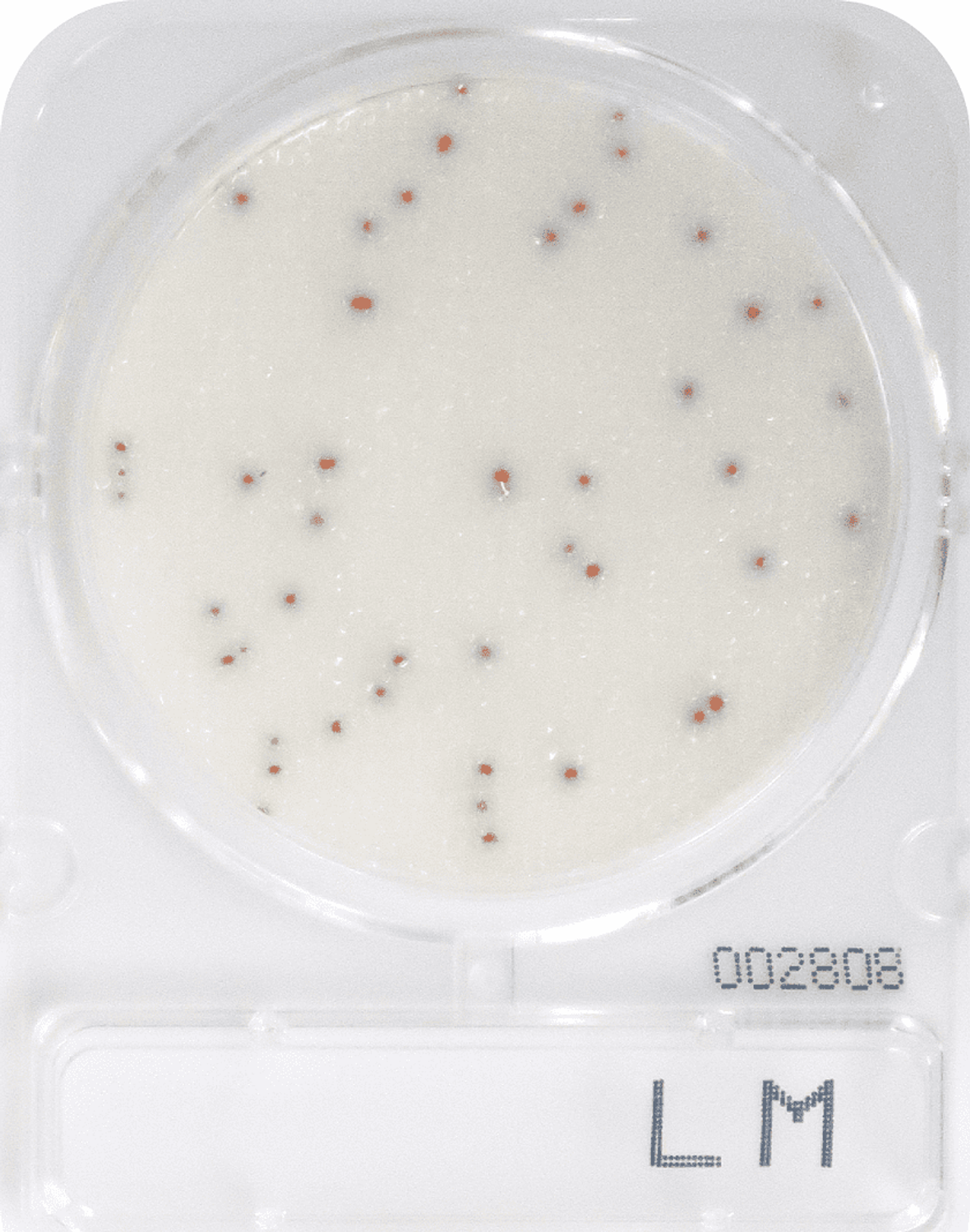 Đĩa Compact Dry LM Listeria monocytogenes