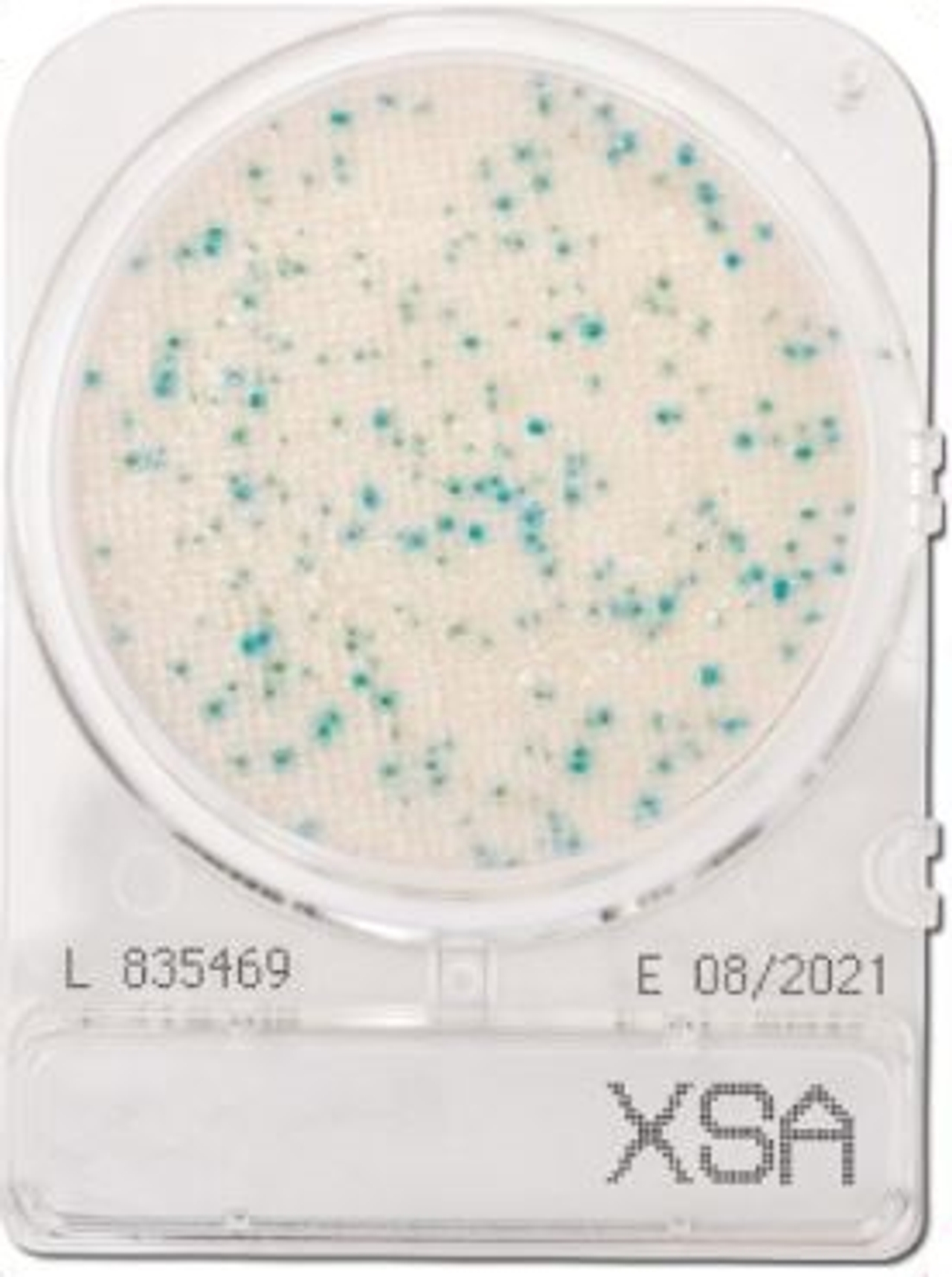 Compact Dry XSA Staphylococcus Aureus