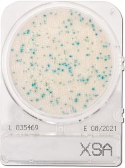 Compact Dry XSA Staphylococcus Aureus