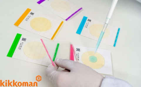 Easy Plate Kikkoman