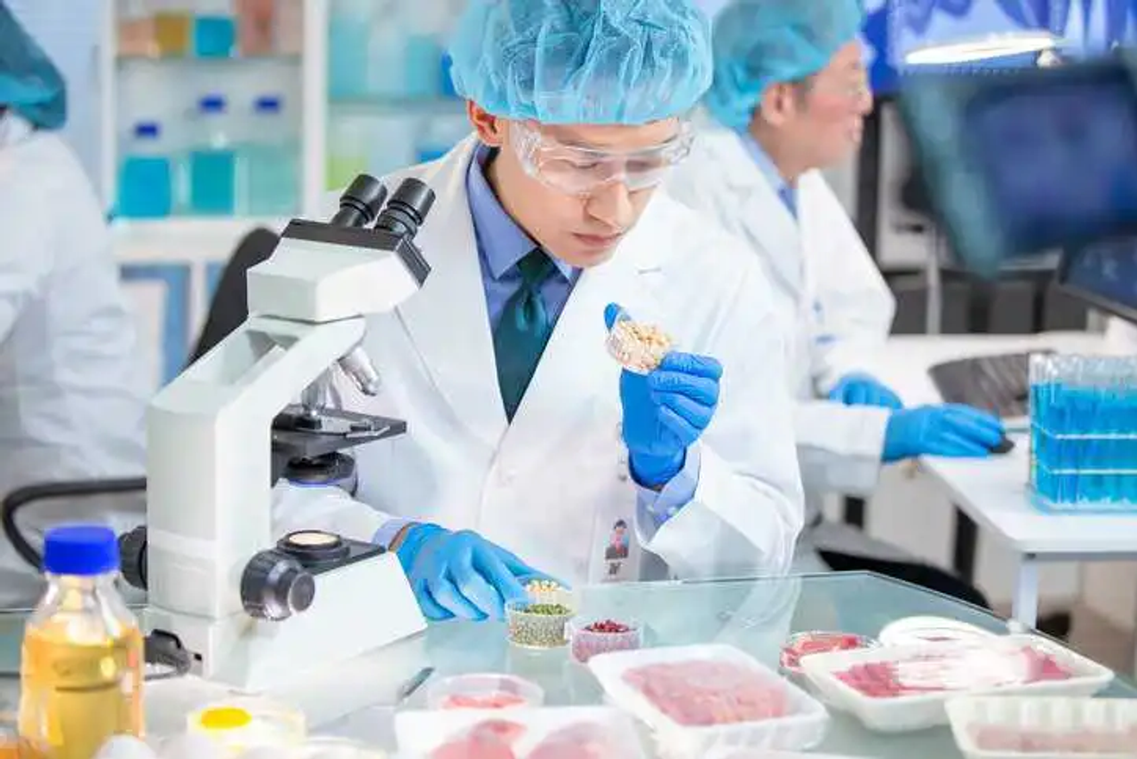 So sánh chi phí thật sự đĩa đổ sẵn và tự pha môi trường
