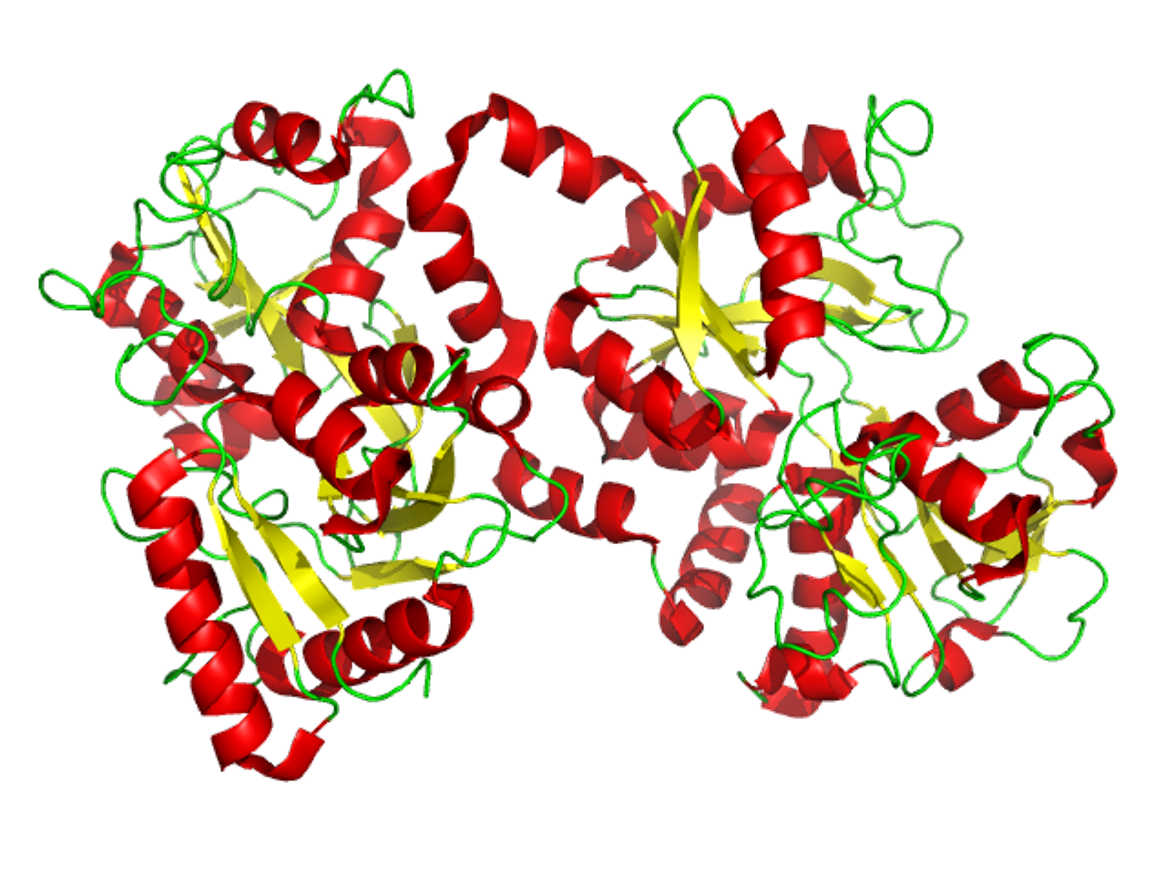 Lactoferrin là gì