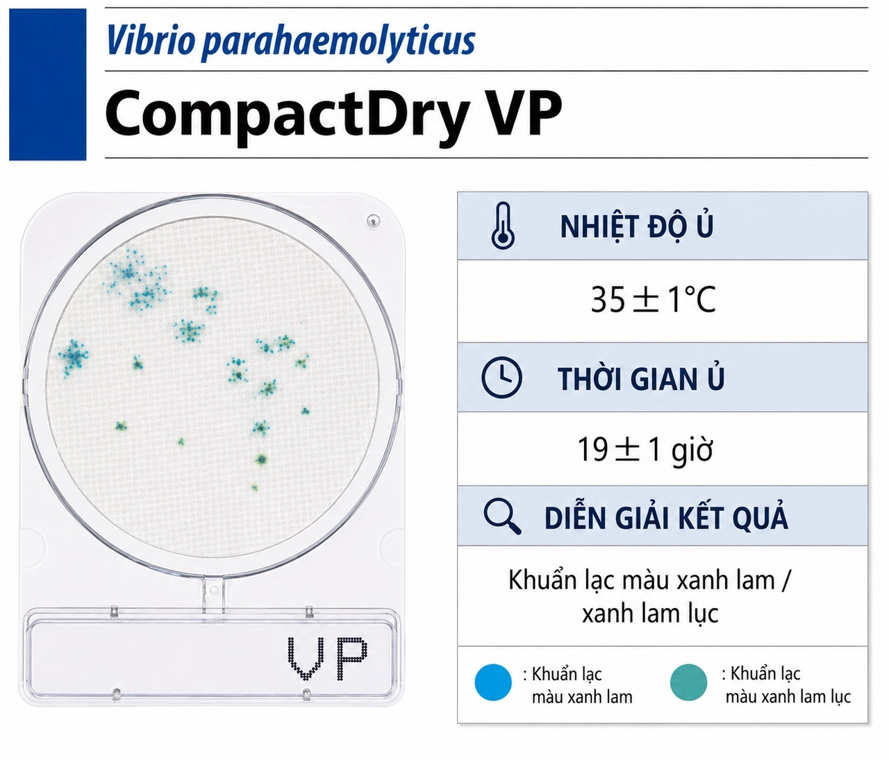 Compact Dry VP