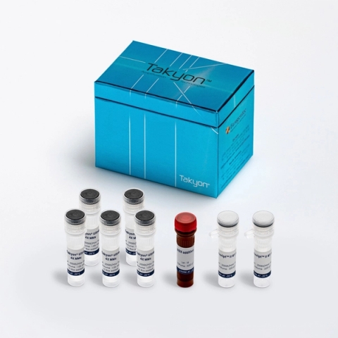 PCR Master Mix