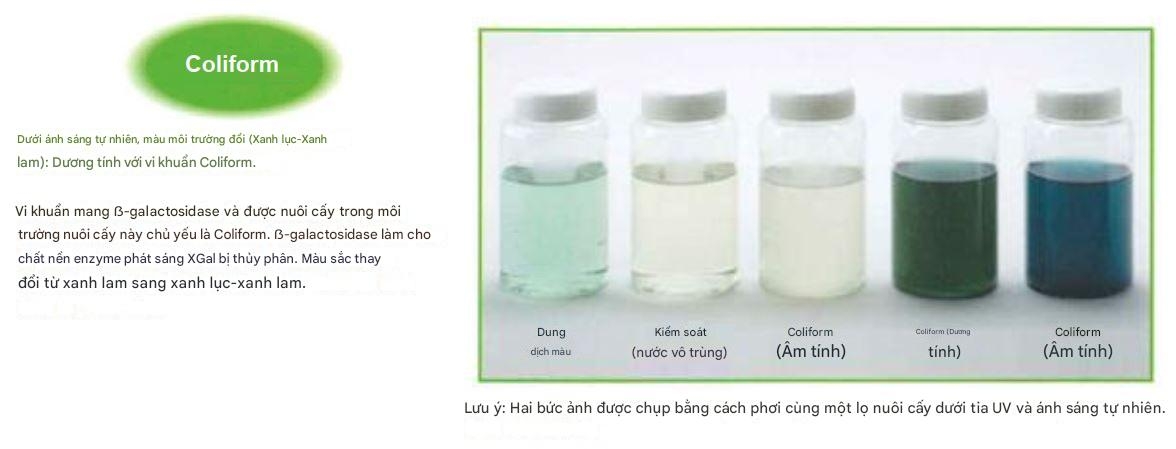 Coliform