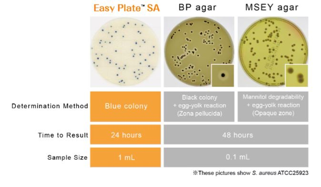 Easy Plate SA