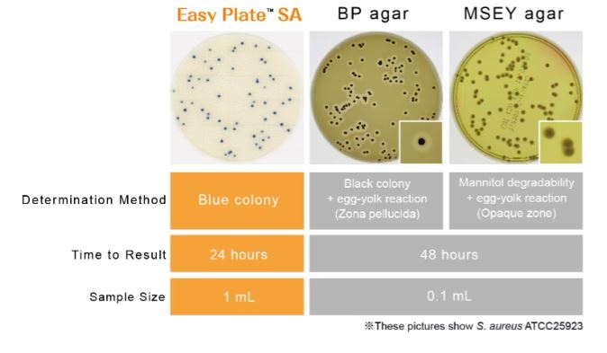 Easy Plate SA