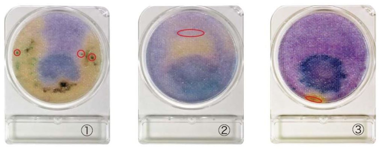 Những sai lầm phổ biến khi sử dụng đĩa Compact Dry