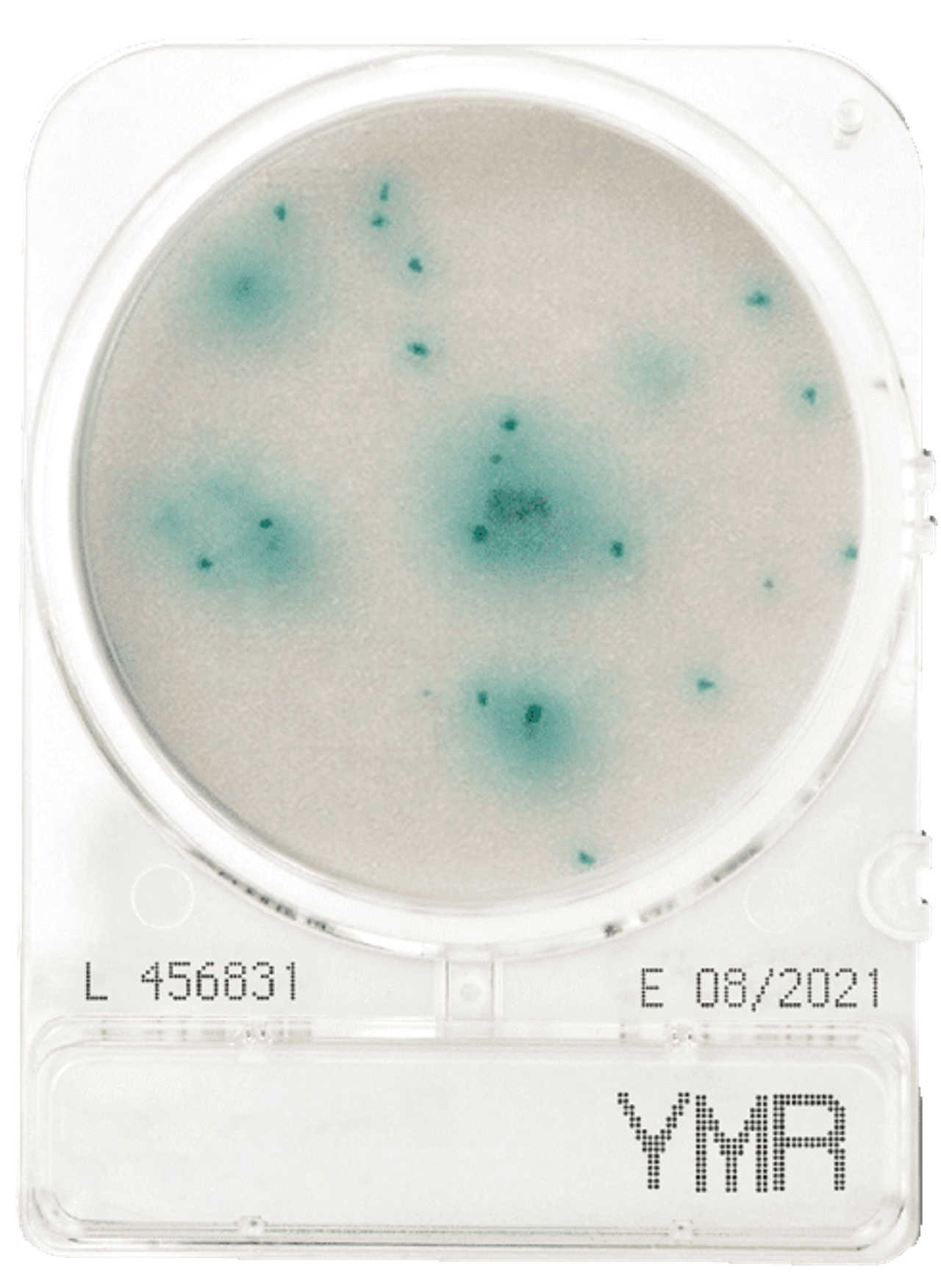 Compact Dry YMR Yeast and Mold Rapid