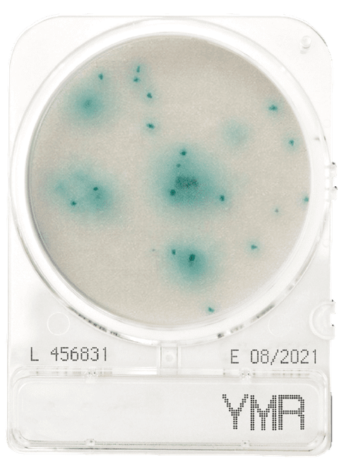 Compact Dry YMR Yeast and Mold Rapid