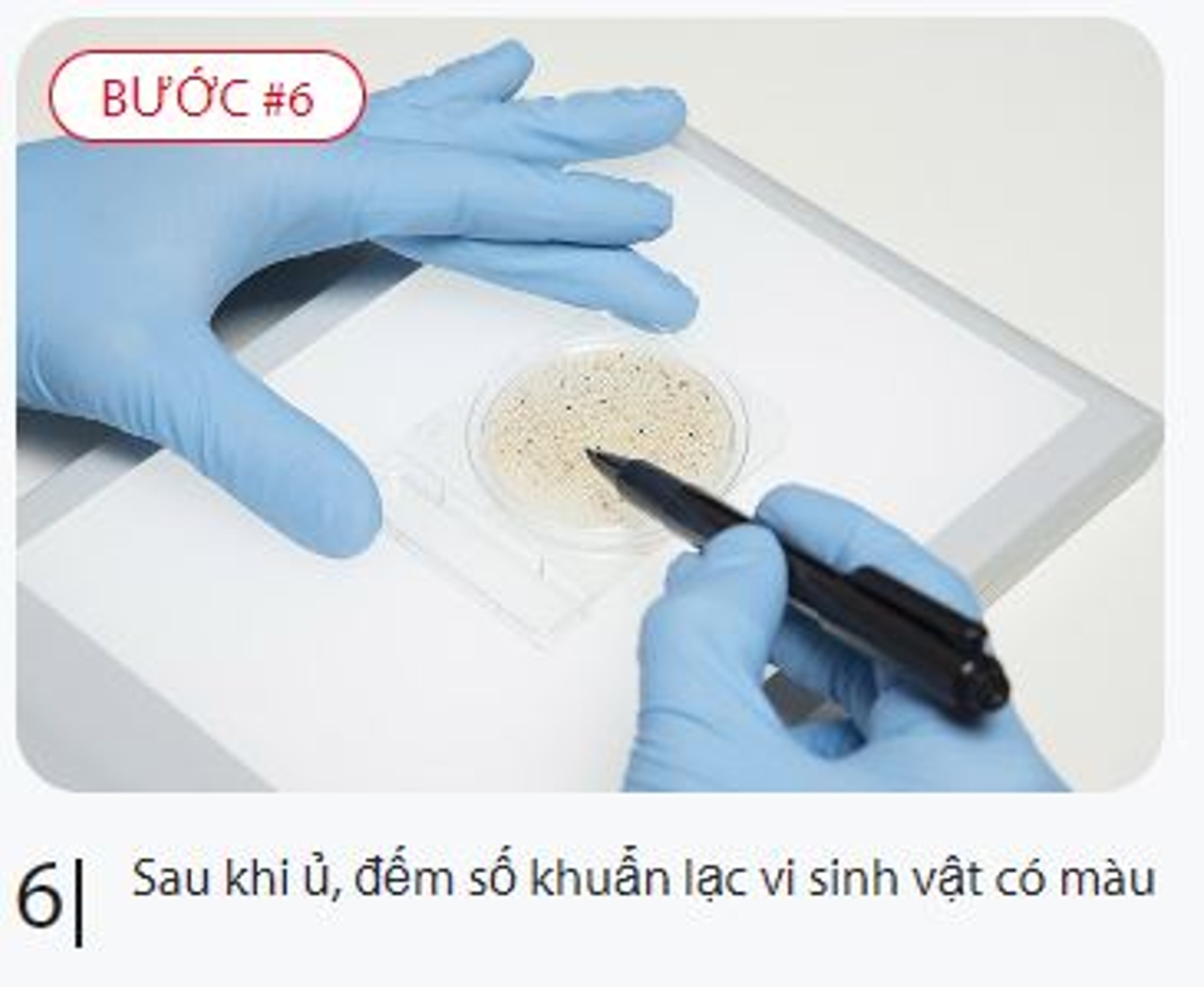 Đếm khuẩn lac Compact Dry
