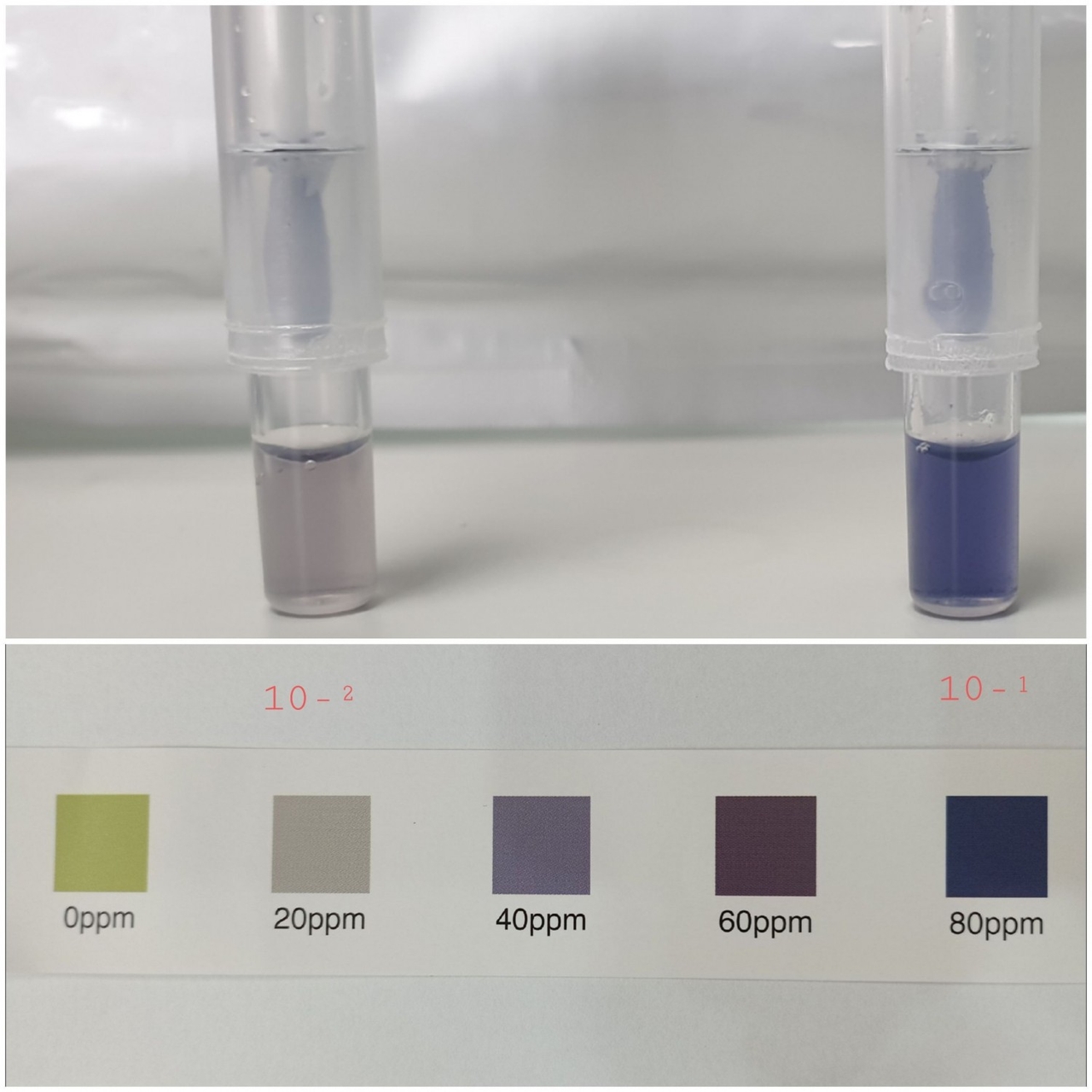 Histamine Check Swab mẫu cá ngừ