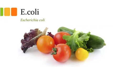 Tiêu chuẩn E coli trong thực phẩm