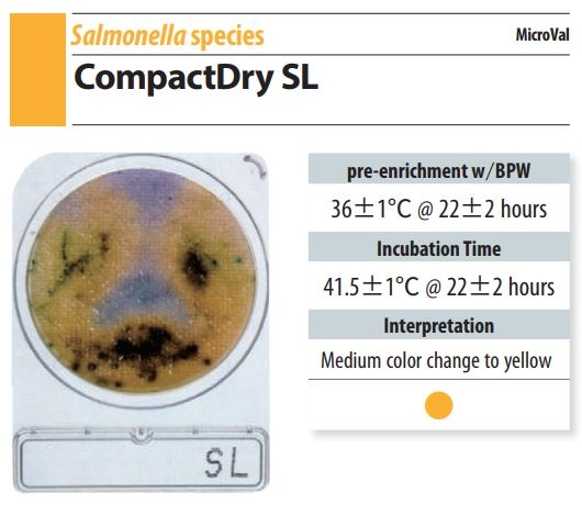 Đĩa Compact Dry SL