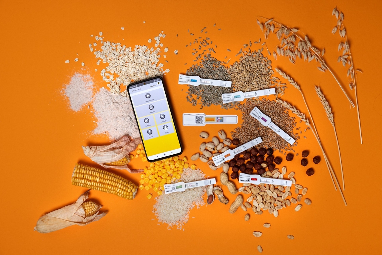 Test nhanh độc tố nấm mốc mycotoxin