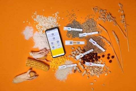 Test nhanh độc tố nấm mốc mycotoxin