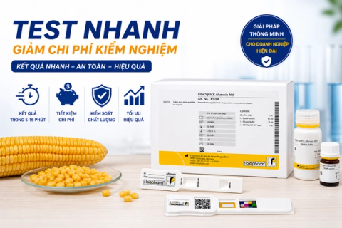 Ứng dụng test nhanh mycotoxin giúp giảm chi phí kiểm nghiệm như thế nào