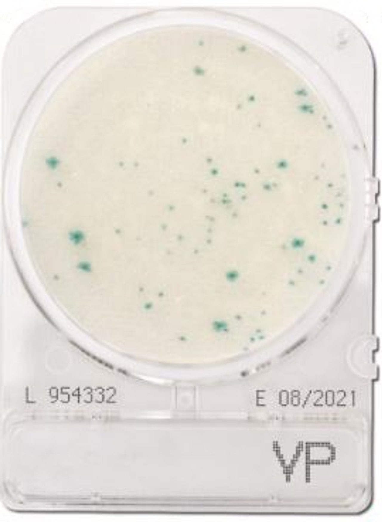 Compact Dry VP Vibrio Parahaemolyticus