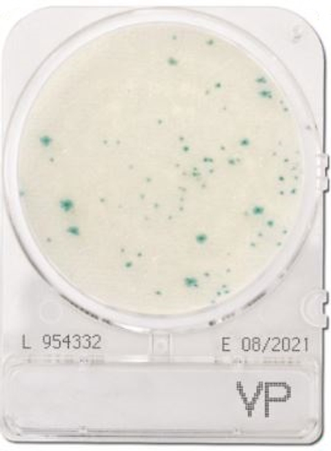 Compact Dry VP Vibrio Parahaemolyticus