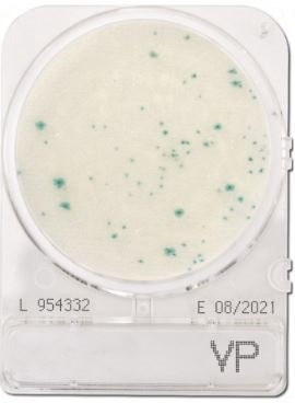 Compact Dry VP Vibrio Parahaemolyticus