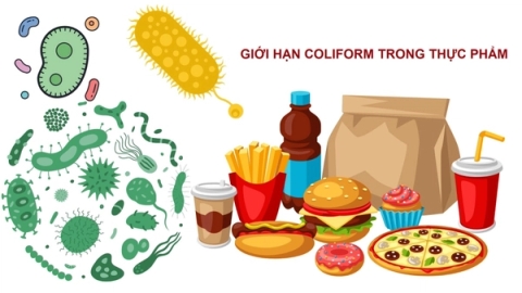 Giới hạn Coliform trong thực phẩm