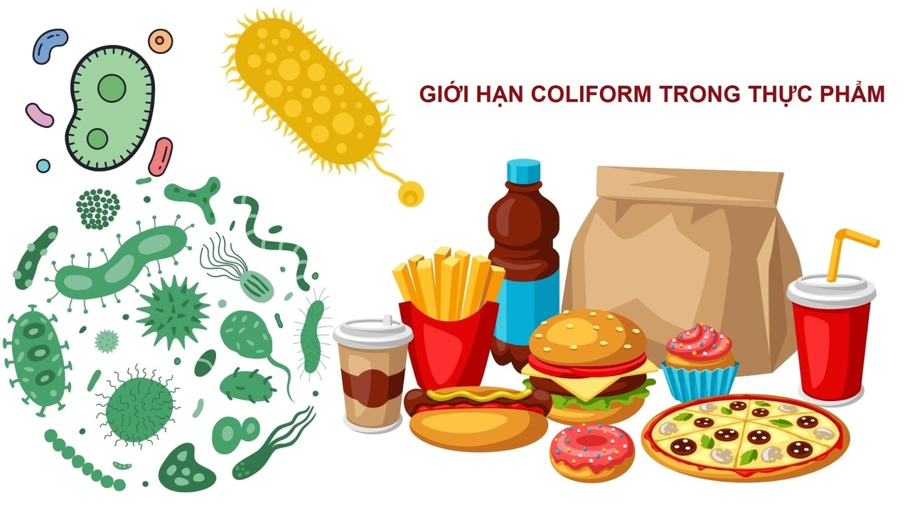 Giới hạn Coliform trong thực phẩm