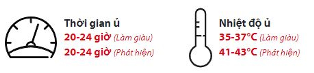 Thời gian ủ Salmonella