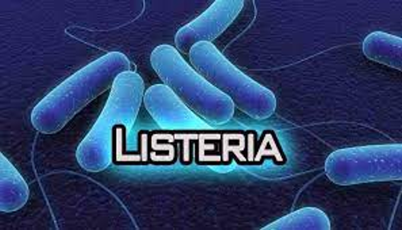 Loài Listeria