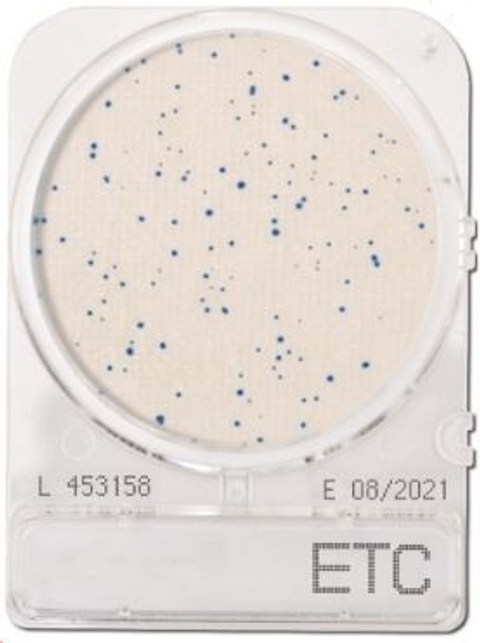 Compact Dry ETC Enterococcus
