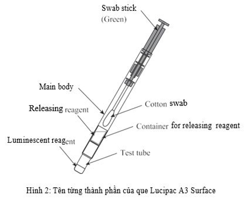 Tên thành phần que Lucipac A3 Surface