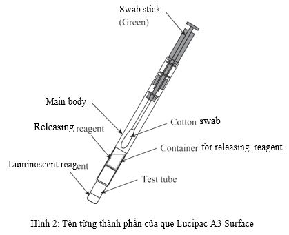 Tên thành phần que Lucipac A3 Surface