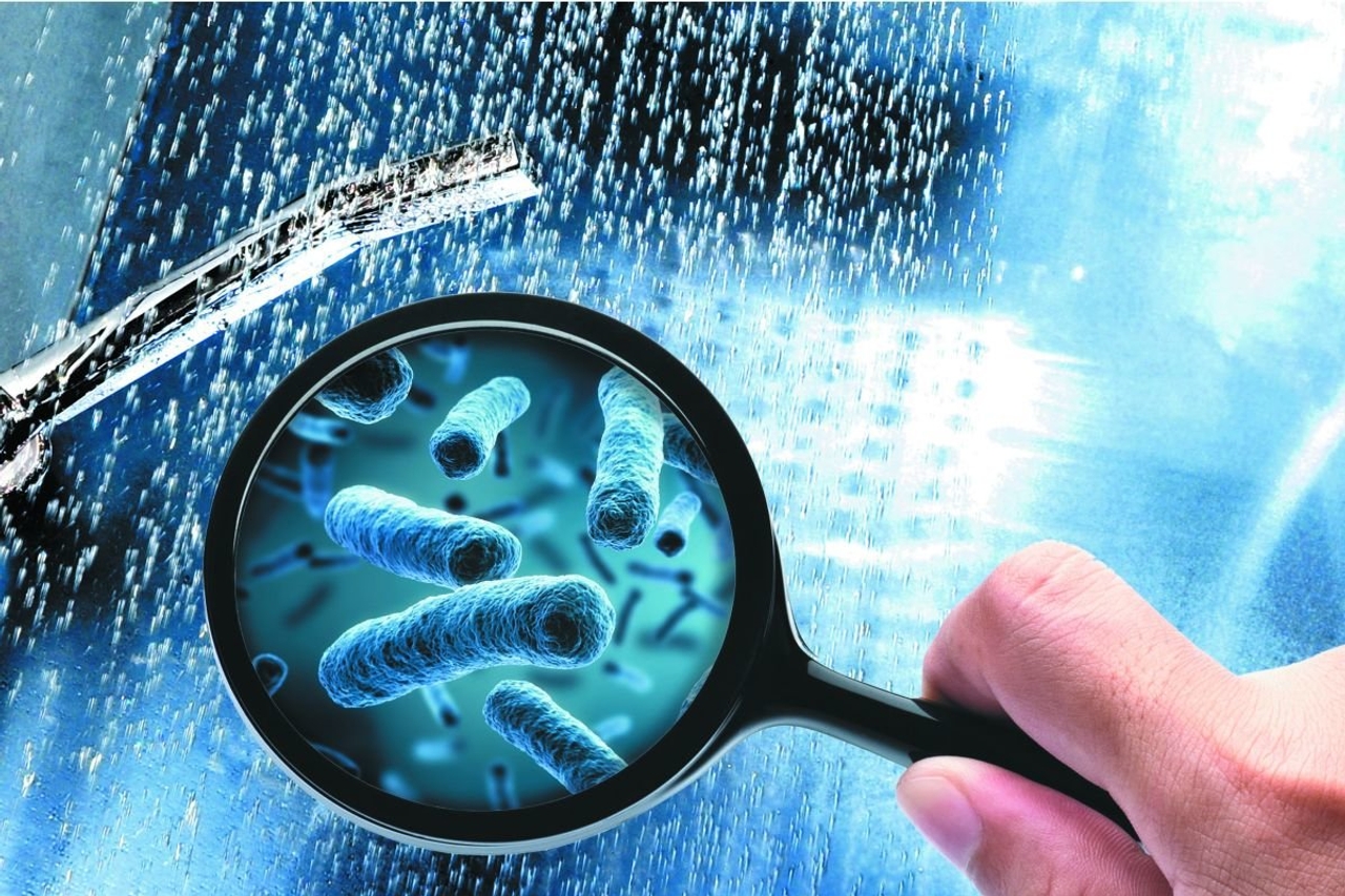 Legionella trong nước