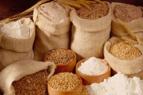 Kiểm nghiệm vi sinh cho thức ăn chăn nuôi