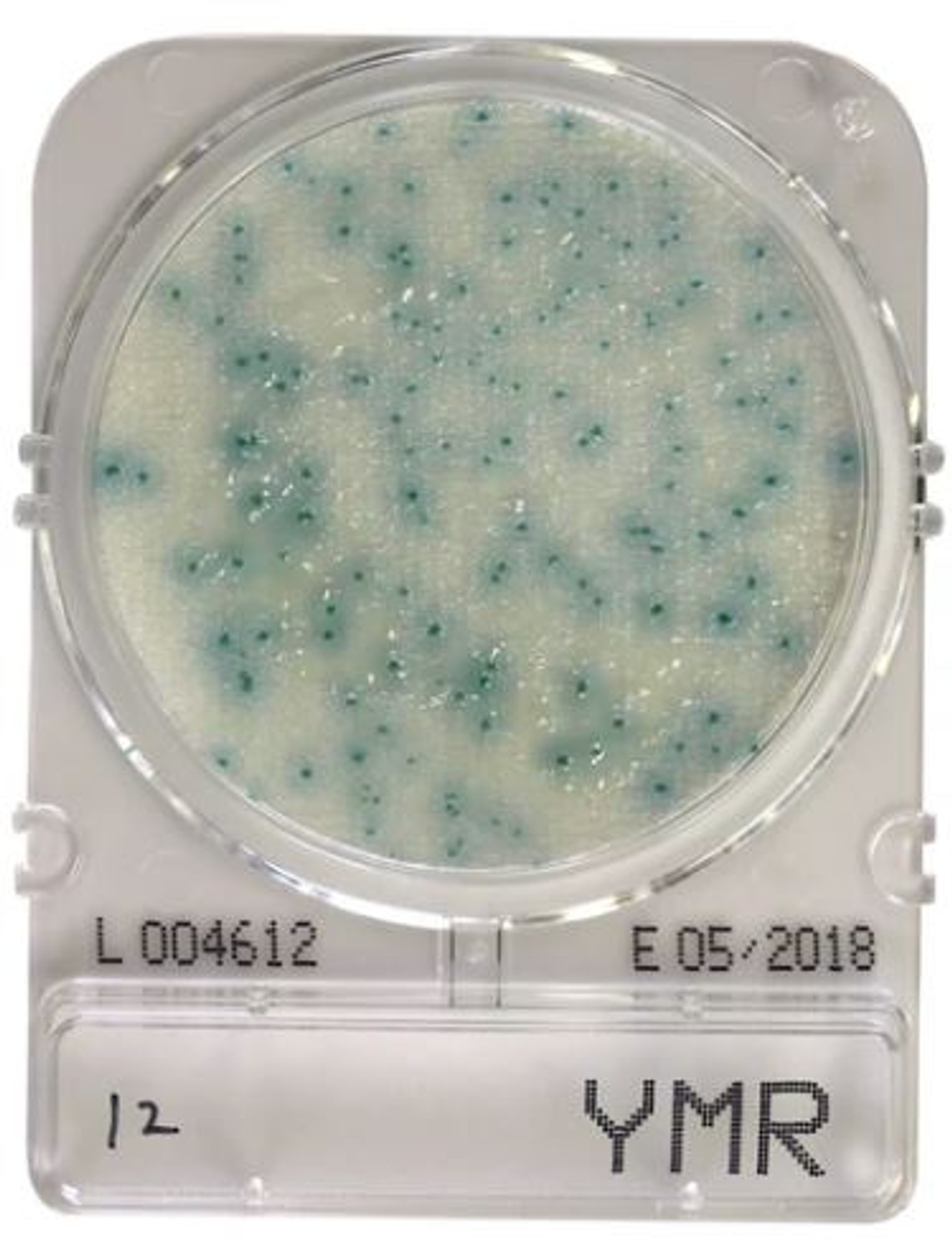 Đĩa Compact Dry YMR Yeast and Mold Rapid